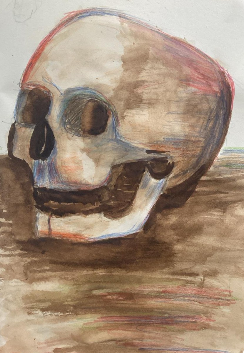 Captain's Skull — Watercolor and pencil skull study